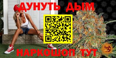 СК Краснодар
